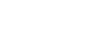 WazirXLogo